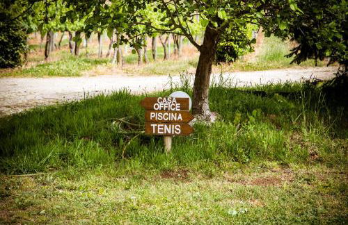 Quinta de Lourosa - Foto 14