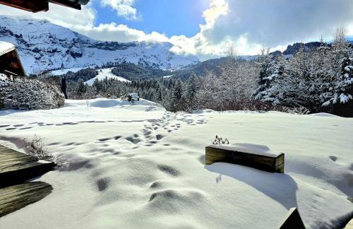Chalet Côte 2000 ski inski out - Foto 42
