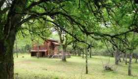Cabane en bois - Foto 3