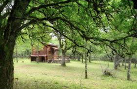 Cabane en bois - Foto 3