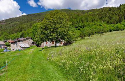 El Bait in Incudine With 2 Bedrooms and 1 Bathrooms - Foto 70