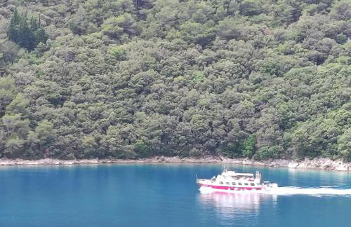 Villa Luma Apartments - Foto 3