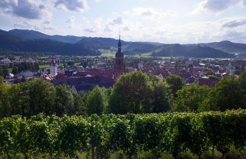 Ferienwohnung Sester - Foto 5