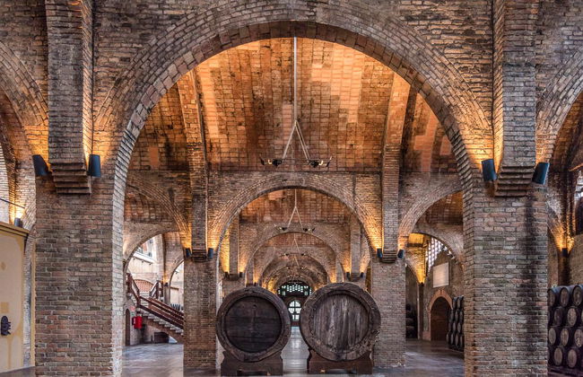 Bodegas Codorníu - Guided Tours - Photo 1