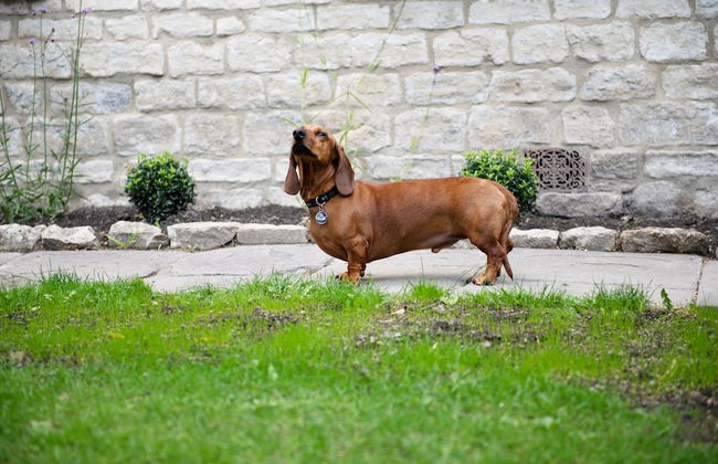 Dream Stays Bath - Southbank - Foto 14