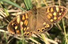 ElleCi Casa Vacanze - Photo 56