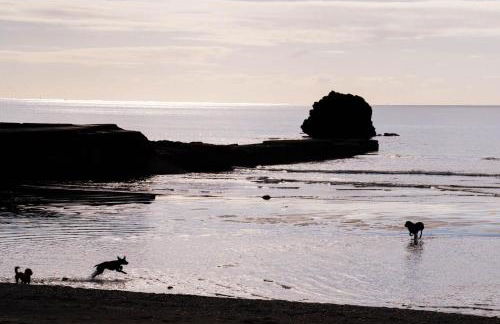 Pet Friendly Sea view Villa Millendreath Looe - Foto 17