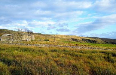 Nethergill Haylofts - Foto 32