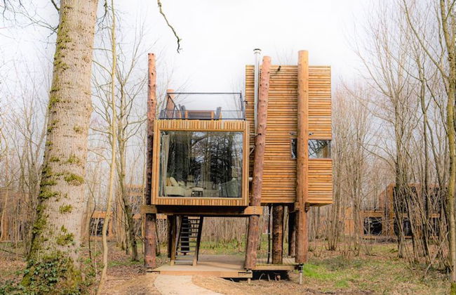 Treeloft Adventure in Nature for 4 People 5 - Foto 17