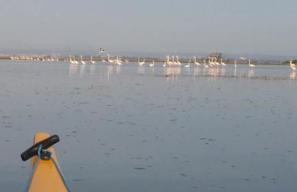 Casa de Muranzel - Foto 48