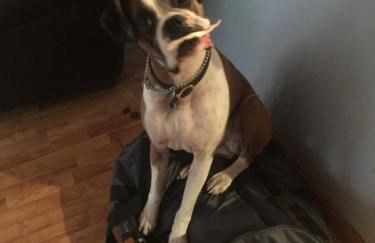 The Cottages at Harvey Lake - Foto 54