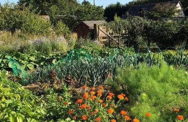 Le gîte des Jardins d'Hayden - Foto 12