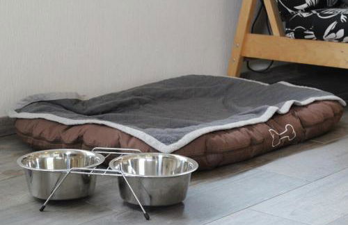 Ferienwohnung Ponywiese - Foto 19