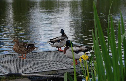 Center Angelos - Foto 14