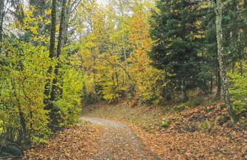 Gîte Le Clos des Vosges - Foto 30