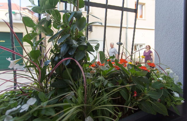 Beautiful, Modern Apartment Near the Sea, Croatia - Foto 20