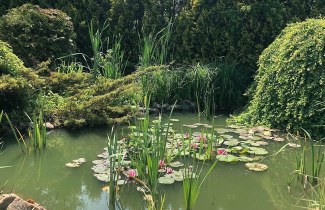 Comfortable Holiday Home on Lake Jamno, Podamirowo - Photo 38