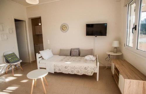 Musses Studios - Photo 30