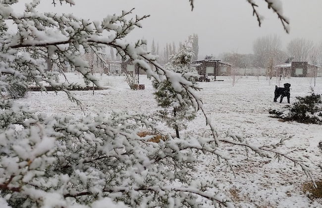 Viento Andino - Foto 25