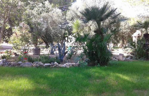 Tenuta La Spezia - Foto 17