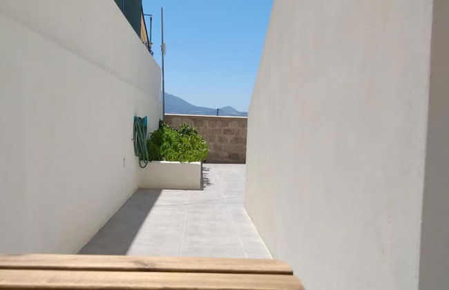 Ippocampos - Foto 50