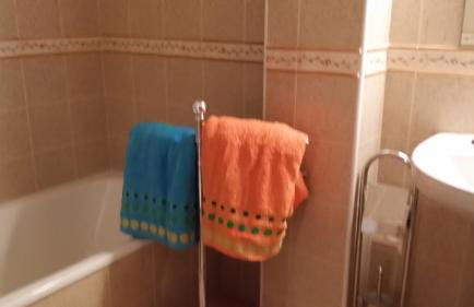 Apartamentos Portal de Ordesa - Photo 20