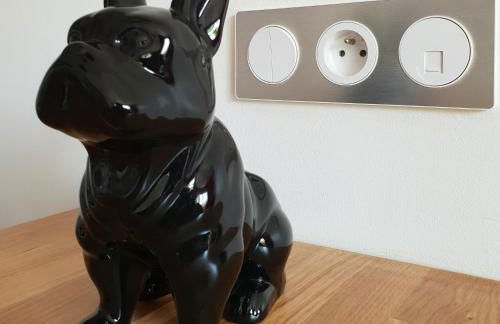 Gare - Polygone Scientifique - Palais de Justice - Foto 28