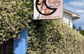 B&B Dolce Sogno - Foto 45