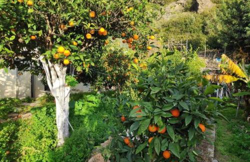 Katerina's garden Apartment 2 - Tertsa Ierapetra - Foto 10