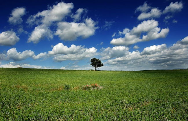 AgriturCostabaira - Foto 42