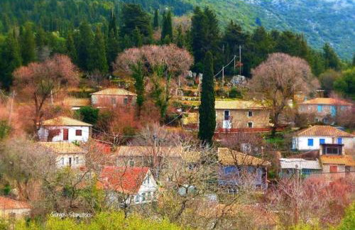 Traditional farmhouse - Foto 25