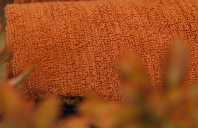 Casa Canoa - Photo 23