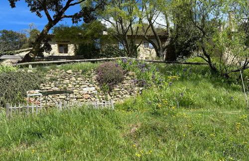 Les goûts et les couleurs - Foto 47