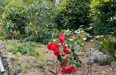 Home2Sea - Piscine, Jardin, studio cabine, 1 canapé lit convertible 2 ADULTES, 1 lit superposé triple 3 ENFANTS ou ADOS - Foto 60