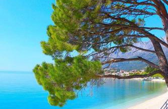 Studio apartman Ana - Foto 12