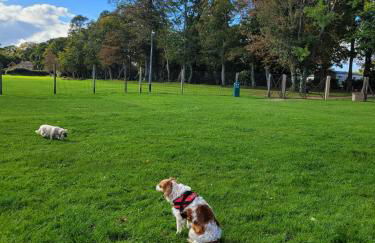 New Forest Bees Holiday Home, Bashley - Foto 20