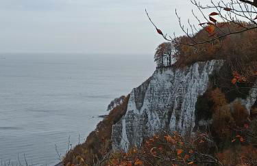 Ferienwohnung BoddenBee - Foto 7