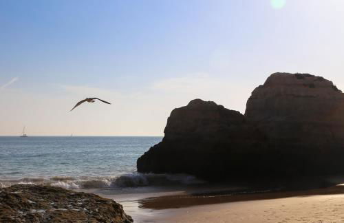 Apartment Portimao Old Town - Foto 29