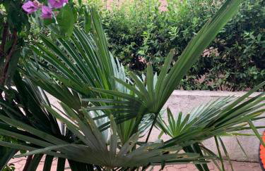 Apartments Adria - Foto 11