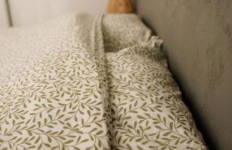 Appartement très calme 2 chambres avec parking et jardin privé sur les hauteurs de Briançon - Photo 18