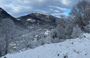 Maison située au Val de Baubère, petite vallée à coté du village de Seix - Foto 22
