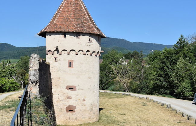 S'harzala Vert Bis - Foto 12