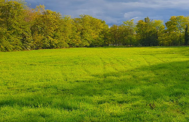 The Luxo Wine Museum Hotel - Foto 21