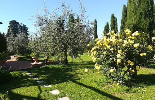 Agriturismo La Scarpaia - Foto 17