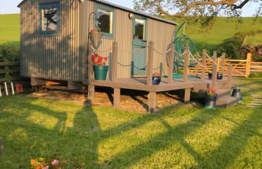 The Peacock Shepherds Hut at Hafoty Boeth - Photo 28