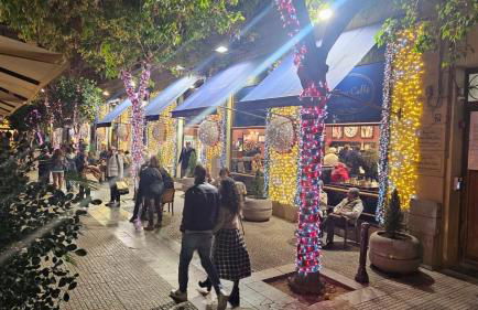 Palermo Houses - Foto 41