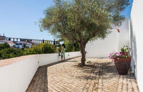 Horta das Laranjas - Foto 23