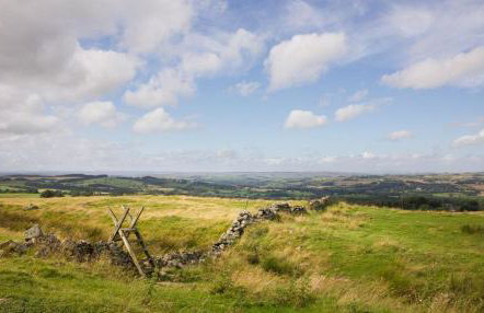 The Hat Shop - Photo 18