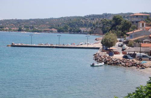 Asmini Studios - Foto 50