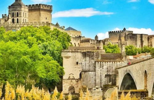 Le Beldi, Mas de Village 1870 - Foto 52